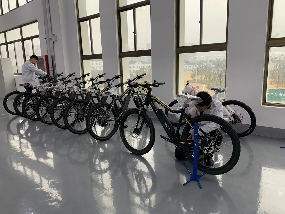 Technicians checking a batch of finished e-MTBs