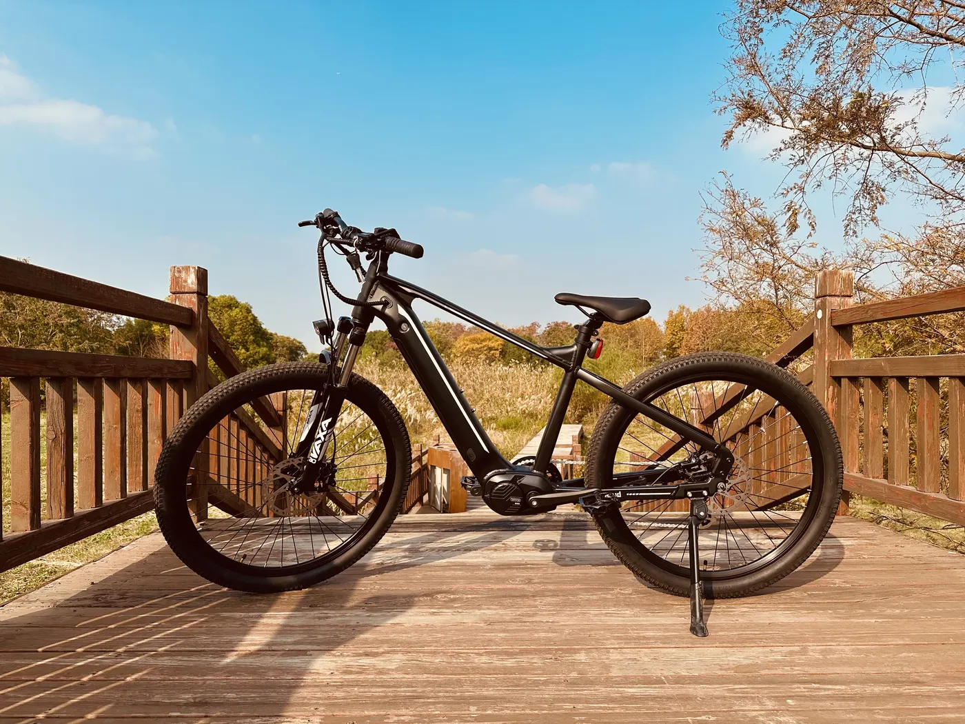 E-MTB e-bike, image 1